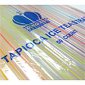 Tapioca Straws