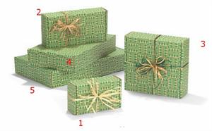 Evergreen - Stewart's Packaging, Houston