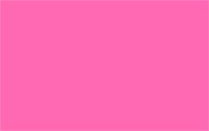 Beauty (Hot Pink) - 1-1/4