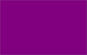 Purple - 1-1/4