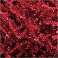 Red Crinkle Cut Shred (10 lbs) 