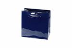 Euro Navy Glossy Bag