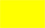 Bright Yellow (Daffodil) - 1-1/4
