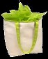 Natural Fashion Bag with Green Trim and Handle