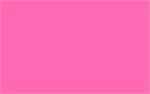 Beauty (Hot Pink) - 3/4