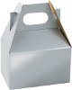 Platinum Silver Gable Boxes (100)