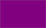 Purple - 4