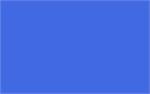 Royal Blue - 4