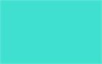 Turquoise - 3/4